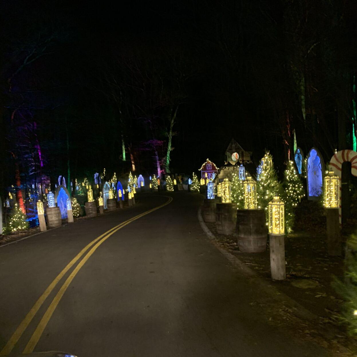 Winter Woods Spectacular (11).JPG